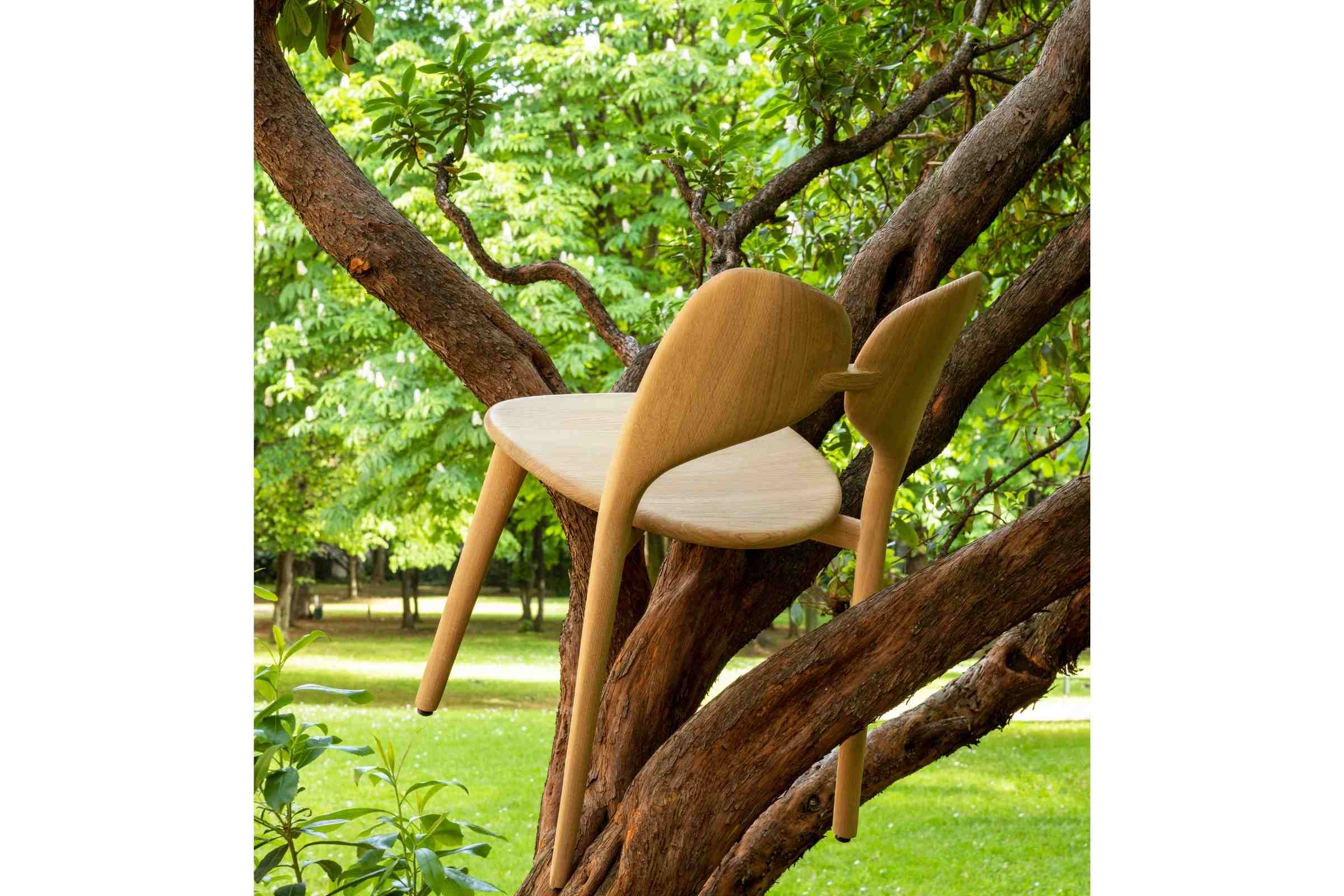 Stuhl in einem Baum aufgehängt – Natur trifft auf Design