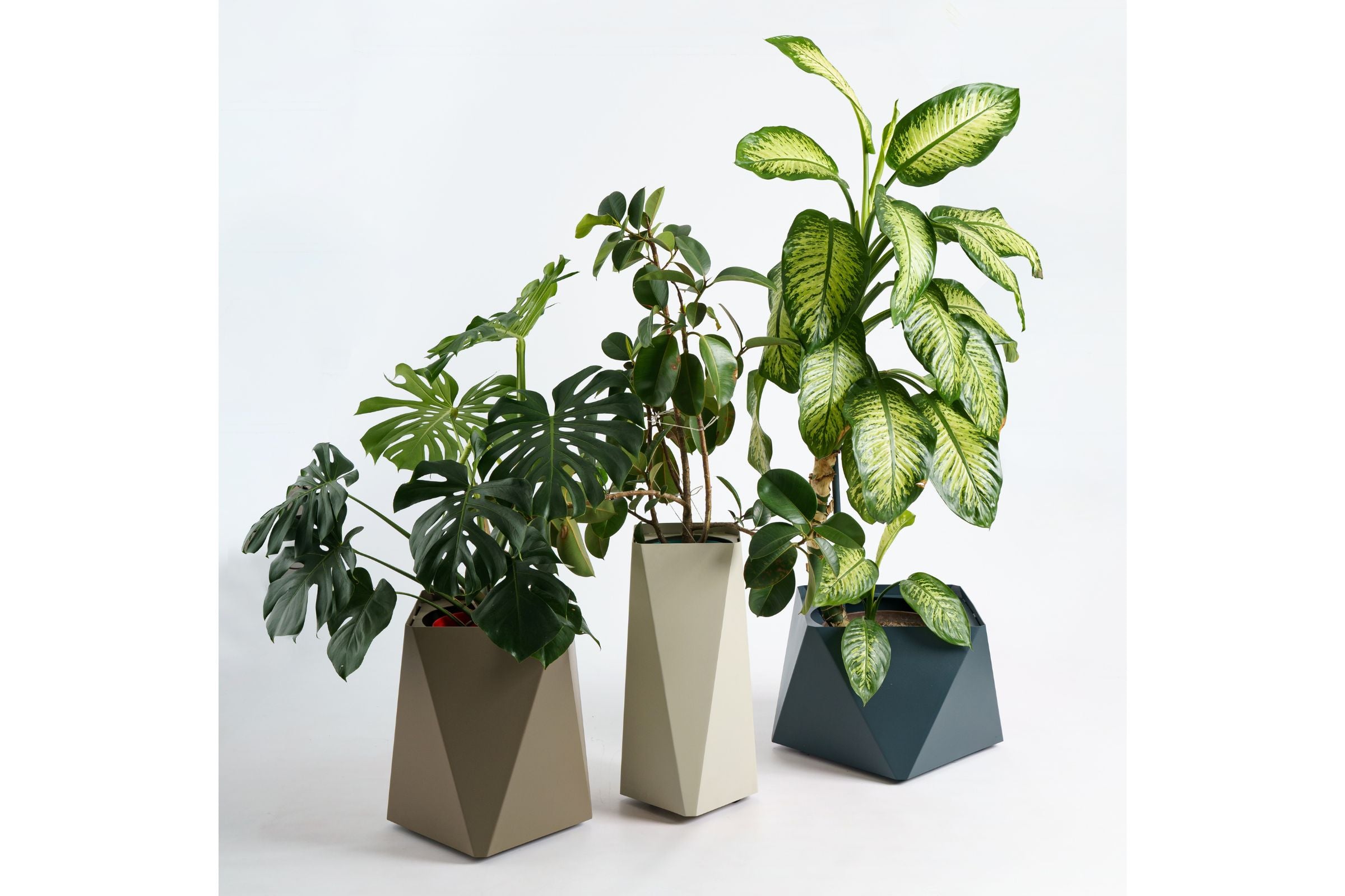 KINO Designer Gartenpflanztöpfe mit verschiedenen Pflanzen